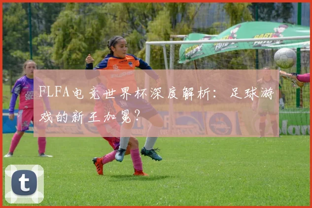 FLFA电竞世界杯深度解析:足球游戏的新王加冕?