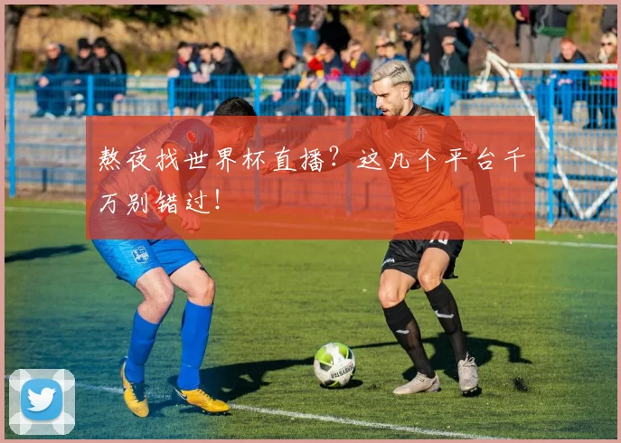 熬夜找世界杯直播？这几个平台千万别错过！