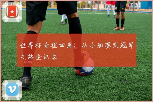 世界杯全程回看:从小组赛到冠军之路全记录