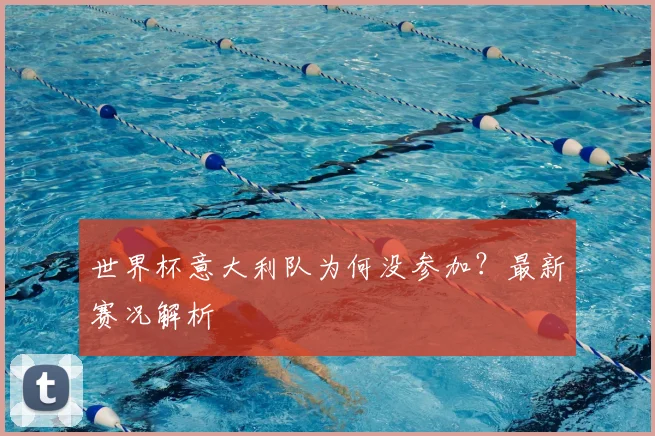 世界杯意大利队为何没参加?最新赛况解析