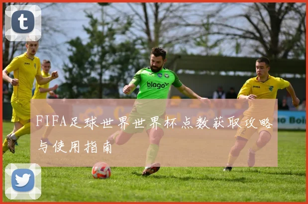 FIFA足球世界世界杯点数获取攻略与使用指南