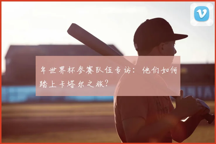 年世界杯参赛队伍专访：他们如何踏上卡塔尔之旅？