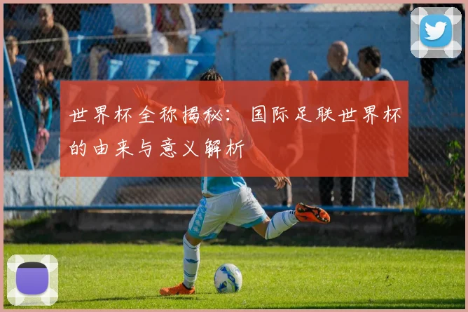 世界杯全称揭秘：国际足联世界杯的由来与意义解析