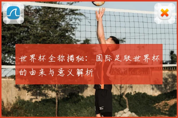 世界杯全称揭秘：国际足联世界杯的由来与意义解析