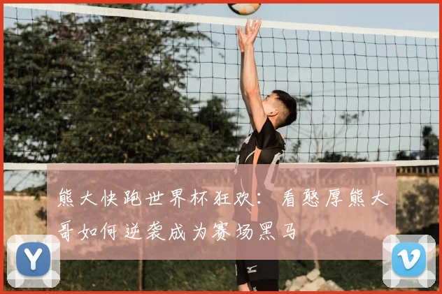 熊大快跑世界杯狂欢：看憨厚熊大哥如何逆袭成为赛场黑马
